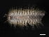  ( - 09PROBE-01188)  @14 [ ] CreativeCommons - Attribution (2009) Unspecified Centre for Biodiversity Genomics