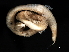  ( - 09PROBE-08214)  @13 [ ] CreativeCommons - Attribution (2009) Unspecified Centre for Biodiversity Genomics