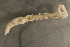  ( - 09PROBE-08353)  @12 [ ] CreativeCommons - Attribution (2009) Unspecified Centre for Biodiversity Genomics