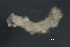  ( - 09PROBE-01124)  @12 [ ] CreativeCommons - Attribution (2010) Unspecified Centre for Biodiversity Genomics