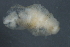  ( - 09PROBE-01139)  @13 [ ] CreativeCommons - Attribution (2010) Unspecified Centre for Biodiversity Genomics