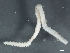  ( - 09PROBE-02015)  @12 [ ] CreativeCommons - Attribution (2010) Unspecified Centre for Biodiversity Genomics