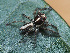  ( - CCDB-38514-72)  @11 [ ] No Rights Reserved (2021) Unspecified Unspecified