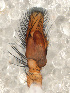  ( - CCDB-38514-72)  @11 [ ] No Rights Reserved (2021) Unspecified Unspecified