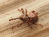  ( - CCDB-45528-90)  @11 [ ] No Rights Reserved (2023) Unspecified Unspecified