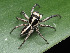  ( - CCDB-50480-91)  @11 [ ] nrr (2024) Unspecified Unspecified