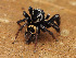  ( - CCDB-50480-23)  @11 [ ] nrr (2025) Unspecified Unspecified