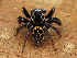  ( - CCDB-50480-23)  @11 [ ] nrr (2025) Unspecified Unspecified