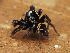  ( - CCDB-50480-23)  @11 [ ] nrr (2025) Unspecified Unspecified