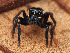  ( - CCDB-50480-20)  @11 [ ] nrr (2025) Unspecified Unspecified