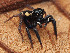  ( - CCDB-50480-20)  @11 [ ] nrr (2025) Unspecified Unspecified