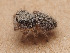  ( - CCDB-50480-53)  @11 [ ] nrr (2025) Unspecified Unspecified