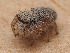  ( - CCDB-50480-53)  @11 [ ] nrr (2025) Unspecified Unspecified