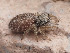  ( - CCDB-50480-50)  @11 [ ] nrr (2025) Unspecified Unspecified