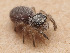  ( - CCDB-50480-54)  @11 [ ] nrr (2025) Unspecified Unspecified