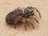  ( - CCDB-50480-54)  @11 [ ] nrr (2025) Unspecified Unspecified