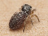  ( - CCDB-50480-54)  @11 [ ] nrr (2025) Unspecified Unspecified