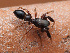  ( - CCDB-50480-60)  @11 [ ] nrr (2025) Unspecified Unspecified