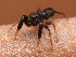  ( - CCDB-50480-60)  @11 [ ] nrr (2025) Unspecified Unspecified