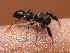  ( - CCDB-50480-60)  @11 [ ] nrr (2025) Unspecified Unspecified