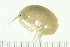  ( - NVAMP-0067)  @14 [ ] CreativeCommons - Attribution (2008) Unspecified Centre for Biodiversity Genomics