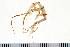  ( - NVAMP-0119)  @13 [ ] CreativeCommons - Attribution (2010) Unspecified Centre for Biodiversity Genomics