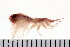  ( - NVAMP-0123)  @11 [ ] CreativeCommons - Attribution (2010) Unspecified Centre for Biodiversity Genomics