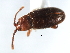  ( - 05-CTATBI-0598)  @12 [ ] CreativeCommons - Attribution (2008) Unspecified Centre for Biodiversity Genomics