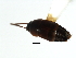  ( - 05-CTATBI-0621)  @12 [ ] CreativeCommons - Attribution (2008) Unspecified Centre for Biodiversity Genomics