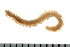  ( - CCPOL328)  @12 [ ] CreativeCommons - Attribution (2010) Unspecified Centre for Biodiversity Genomics
