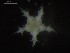 ( - DSB_3382)  @11 [ ] Copyright (2018) Magdalini Christodoulou German Center for Marine Biodiversity Research