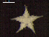  ( - DSB_3512)  @11 [ ] Copyright (2018) Magdalini Christodoulou German Center for Marine Biodiversity Research
