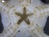  (Amphiophiura bullata - DSB_38)  @11 [ ] Copyright (2016) Ana Hilário Centre for Environmental and Marine Studies, University of Aveiro