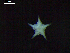  ( - DSB_3423)  @11 [ ] Copyright (2018) Magdalini Christodoulou German Center for Marine Biodiversity Research