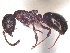  ( - BIOUG62753-D06)  @11 [ ] CreativeCommons - Attribution (2021) CBG Photography Group Centre for Biodiversity Genomics