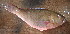  ( - CD161117-5)  @11 [ ] Copyright (2019) Jean-Dominique Durand Institut de Recherche pour le Développement
