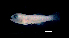  ( - G1B-250417-22A)  @11 [ ] Copyright (2017) Manh Hung Pham University of Science, VNUHCMUS
