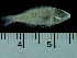  ( - G2B-250417-21A)  @11 [ ] Copyright (c) (2021) Manh Hung Pham Ho Chi Minh University of Science