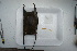  ( - CEGAR 123)  @11 [ ] Unspecified (default): All Rights Reserved  Unspecified Unspecified