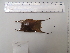  ( - CEGAR 133)  @11 [ ] Unspecified (default): All Rights Reserved  Unspecified Unspecified