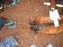 ( - OK27)  @12 [ ] Copyright  S. Touladjan, 2006 Unspecified