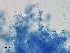  ( - Beauveria bassiana 608)  @11 [ ] CreativeCommons  Attribution Non-Commercial Share-Alike (2018) Julieta Tornesello G. Cepave, La Plata, Bs As, Argentina