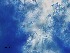  ( - Beauveria bassiana 609)  @11 [ ] CreativeCommons  Attribution Non-Commercial Share-Alike (2018) Julieta Tornesello G. Cepave, La Plata, Bs As, Argentina