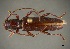  (Psyrassa sthenias - CER-010)  @14 [ ] Unspecified (default): All Rights Reserved  Unspecified Unspecified