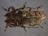  ( - CER-112)  @13 [ ] Unspecified (default): All Rights Reserved  Unspecified Unspecified