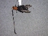  ( - CER-120)  @12 [ ] Unspecified (default): All Rights Reserved  Unspecified Unspecified