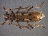  ( - CER-122)  @13 [ ] Unspecified (default): All Rights Reserved  Unspecified Unspecified