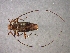 ( - CER-128)  @13 [ ] Unspecified (default): All Rights Reserved  Unspecified Unspecified