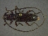  ( - CER-134)  @12 [ ] Unspecified (default): All Rights Reserved  Unspecified Unspecified