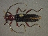  ( - CER-146)  @13 [ ] Unspecified (default): All Rights Reserved  Unspecified Unspecified